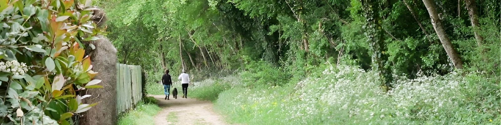 image bannière Appel à photos