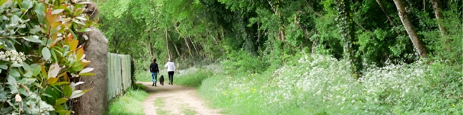 image bannière La grande boucle