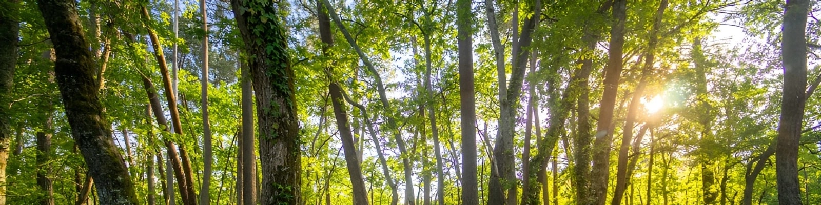 image bannière La moyenne boucle