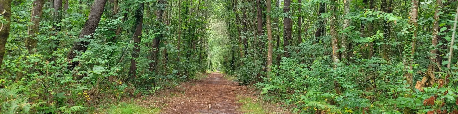 image bannière La petite boucle